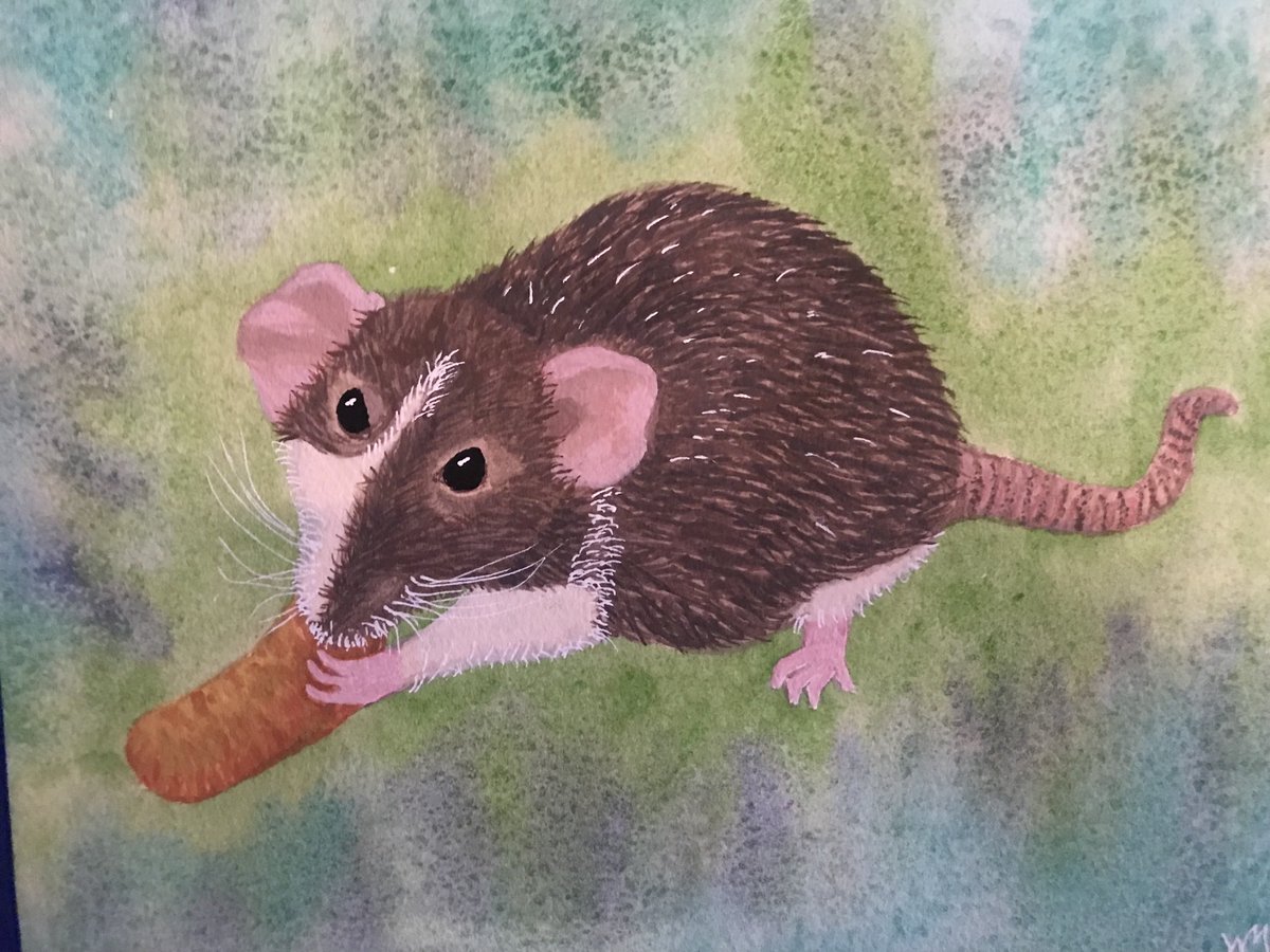 Stripey the Rat