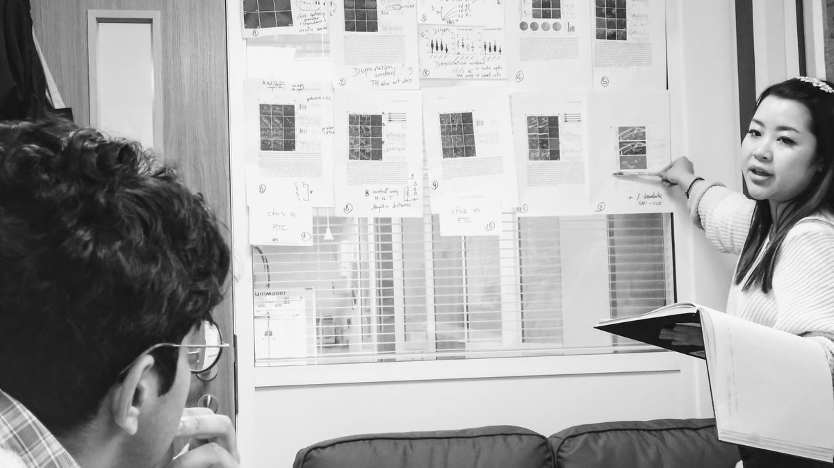 Li_Huang (@liii_huang) on Twitter photo Thesis planning+<a href="/ISOT2024Iceland/">ISOT2024-Reykjavik</a> poster 🧠🌪️ with @HarinW98; best way to do it is on the wall ;)
<a href="/eg_neuro/">Elisa Galliano</a> should thank me for the wonderful decorations of her office with my beautiful figures :D Thesis planning+<a href="/ISOT2024Iceland/">ISOT2024-Reykjavik</a> poster 🧠🌪️ with @HarinW98; best way to do it is on the wall ;)
<a href="/eg_neuro/">Elisa Galliano</a> should thank me for the wonderful decorations of her office with my beautiful figures :D
