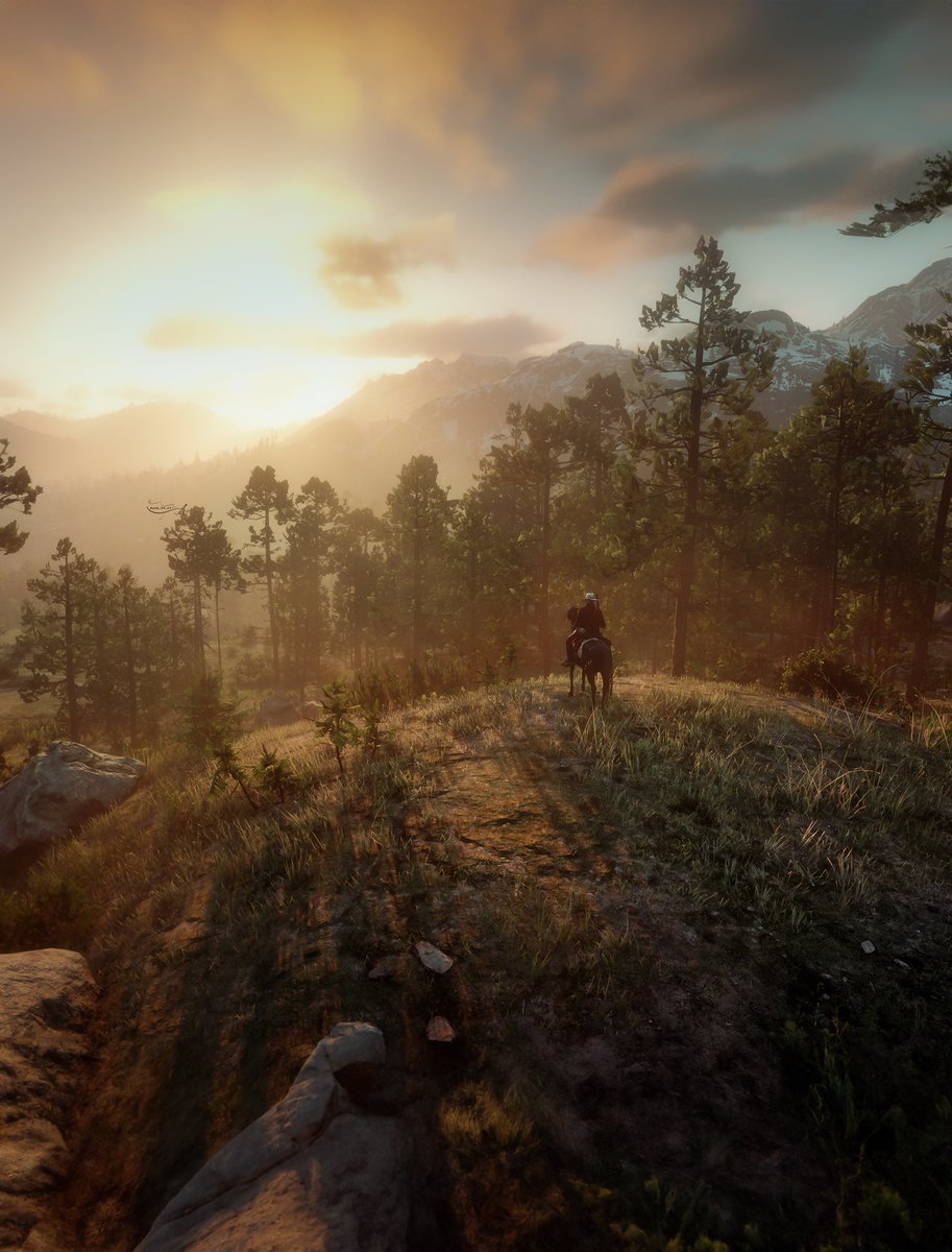 Red Dead Redemption II 🌄

 #pcgaming #VPGamers #RDR2 #VGPUnite #FutureVPSupport