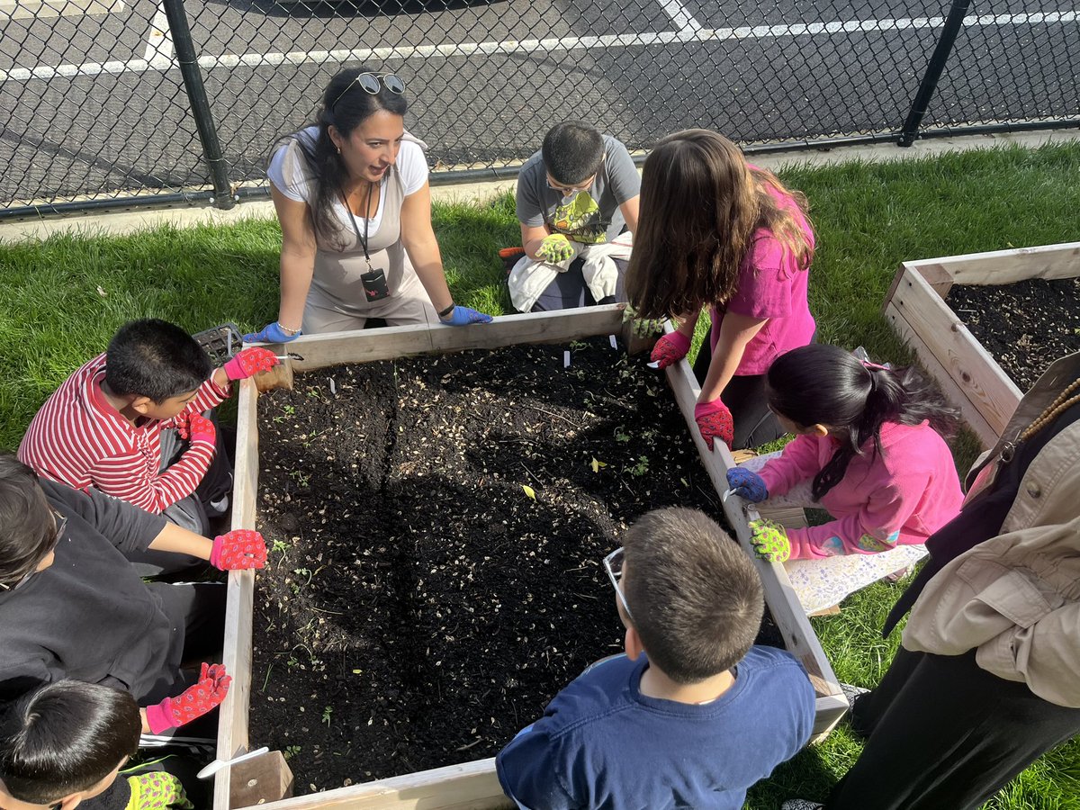 Spent the morning in the garden with the Weisbergs! They made beautiful bird houses in class that we added bird food to and hung in our garden, planted eggplants & played with worms! #mineolaproud @JenniferWeisbe2