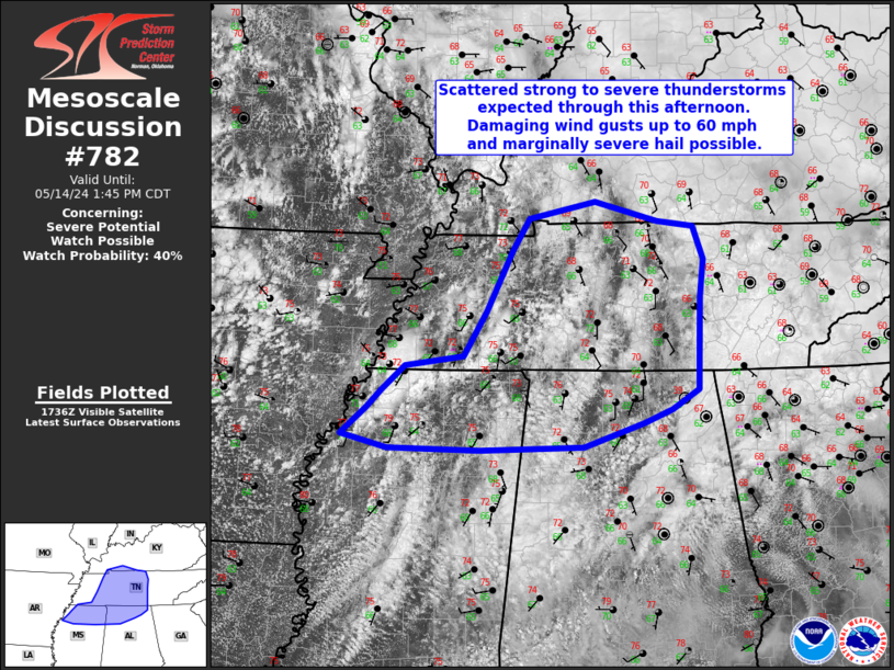 LimWeather's tweet photo. #SevereThunderstormWatch possible in N #Dixiealley esp #JacksonTN,#Huntsville,#DecaturAL,#Nashville,#Clarksville,#Murfreesboro,#FranklinTN,#Hendersonville,#Smyrna,#ColumbiaTn,#SpringHill,#Gallatin
#Wxtwitter #SPC #Severewx #Hail #Wind #tornado #Wxx #TNwx #ALwx #MSwx #KYwx https://t.co/LON9xM1MO9