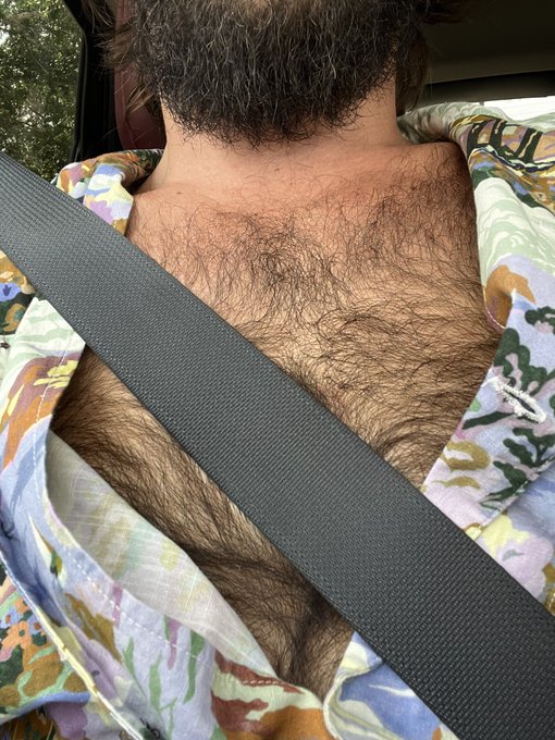 Seatbelts please https://t.co/BCRZb764MA