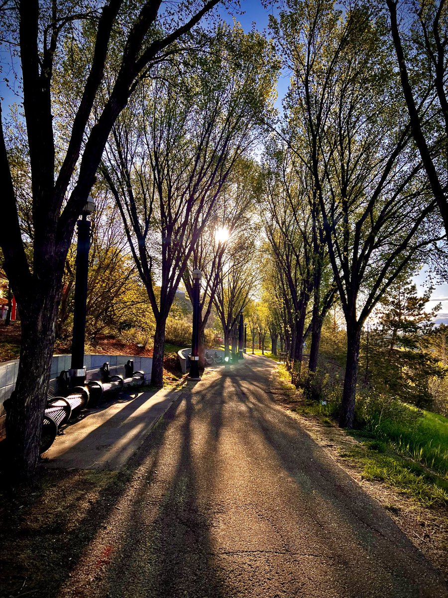 I dropped into the valley feeling the thermocline of heavy air, instinctively following the fragrance of bud & pollen to the river’s crux. My climb to the city was tinged with regret, only softened by the branching shadows of selfless elms planted by considerate souls long dead.