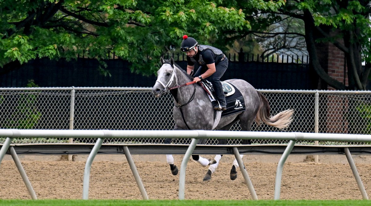 Preakness Stakes tweet media