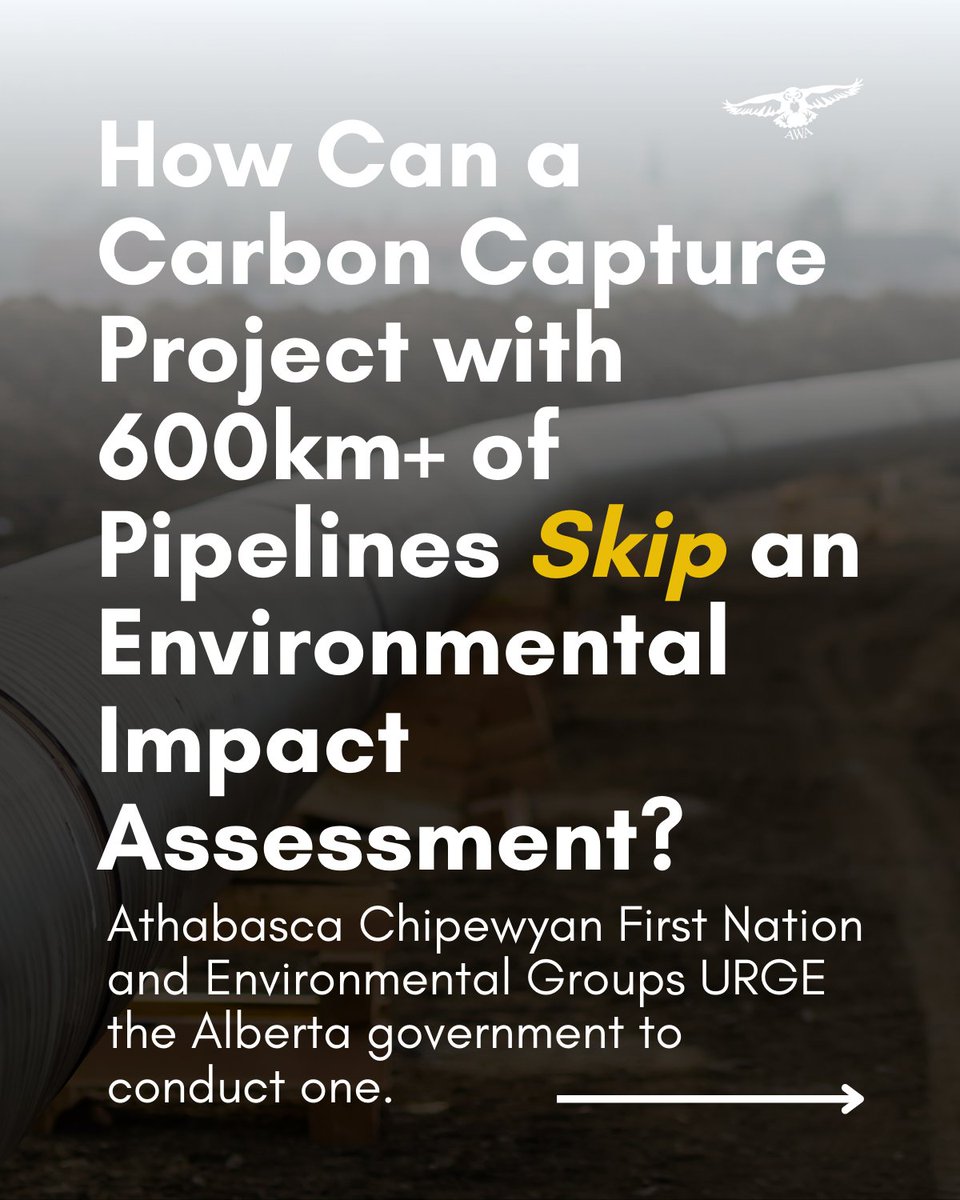 ⚠️You read that right: A proposed carbon capture project in Alberta, involving over 600 kilometres of pipelines,  and 18,000 km2 of carbon storage might skip an enviro impact assessment. @ACFN_KaiTaile + several enviro groups are urging the AB gov't to conduct one. 1/