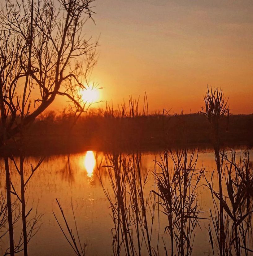 🌿🐦 Primavera als Aiguamolls de l'Empordà! Un paradís natural que meravella en aquesta època de l'any. 🌼🦆

Veniu a visitar-los!

#AiguamollsEmpordà #Primavera #Natura 🌱🌸

📸 @planelles66