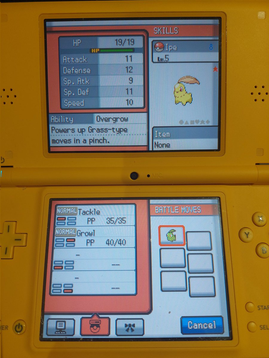 I finally found a shiny Chikorita last night after 4 phases and only 641 SR's (1.9k encounters!) I was just getting my numbers up and was totally not expecting anything to shine! I am super happy this turned out to be a short phase too!
#ShinyPokemon #Shinyhunting #Pokemon