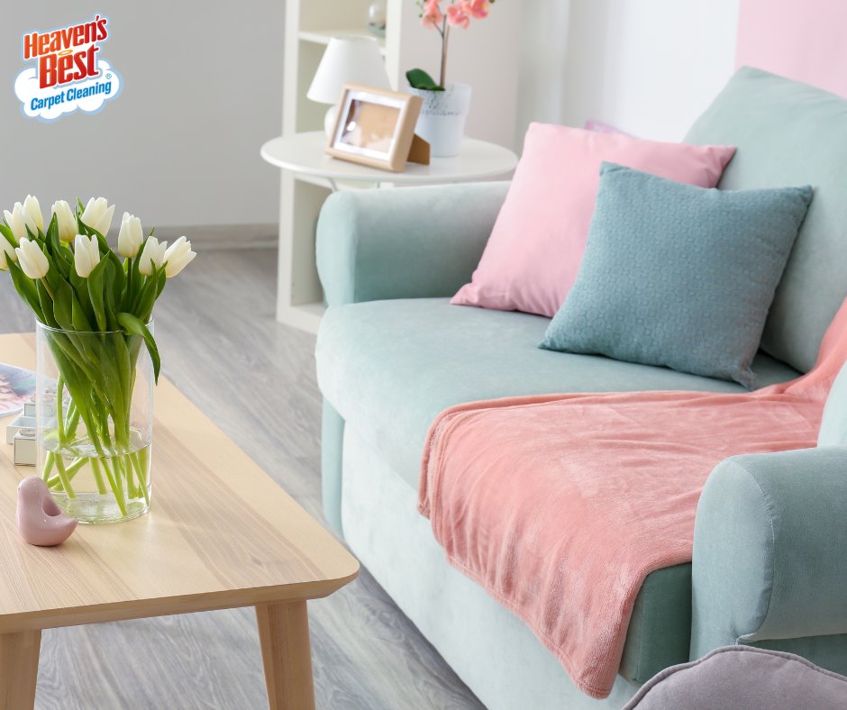 Ready to shake off the dust and embrace a cleaner, healthier space? Contact Heaven's Best to breathe life back into your floors and furniture this spring! 🌷🌱

goheavensbest.com
#heavensbest #portland #bestofportland #lakeoswego #oregoncity #carpetcleaning #floorcleaning