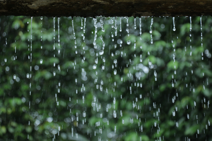 Hey Guelph, did you know that you can reduce your water bill by using rain to water your lawn or garden! Guelph residents can order a rain barrel for $45. Only a limited number available before the price goes up. Order now at ow.ly/GgjN50RxWbE