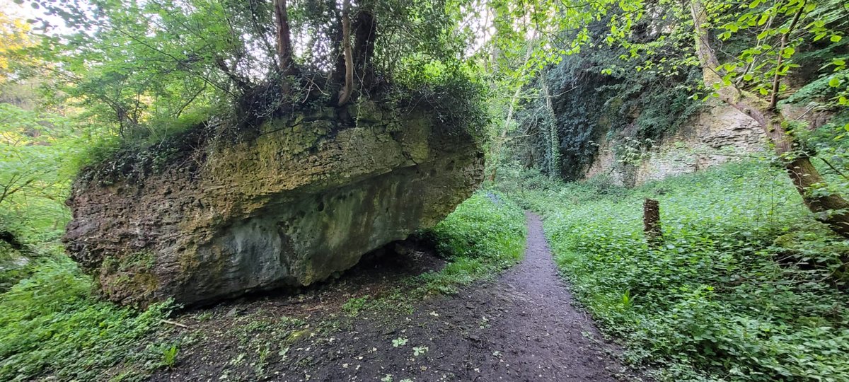 On Saturday, a group of nature enthusiasts joined us at Clowne Greenway 💚

Local volunteer Jim Russell shared his knowledge of bird calls, wildlife, plants and flowers that can be found in this area.

Much love to all who came for a 5am start, it was worth it! 

@Derbyshirecc