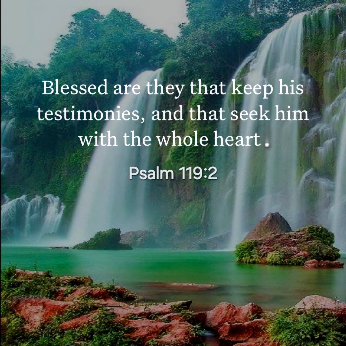 'Blessed are those who keep His testimonies, Who seek Him with the whole heart!' - Psalm 119:2