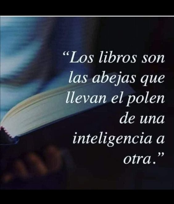Freddy Rosario (@frosariod) on Twitter photo 