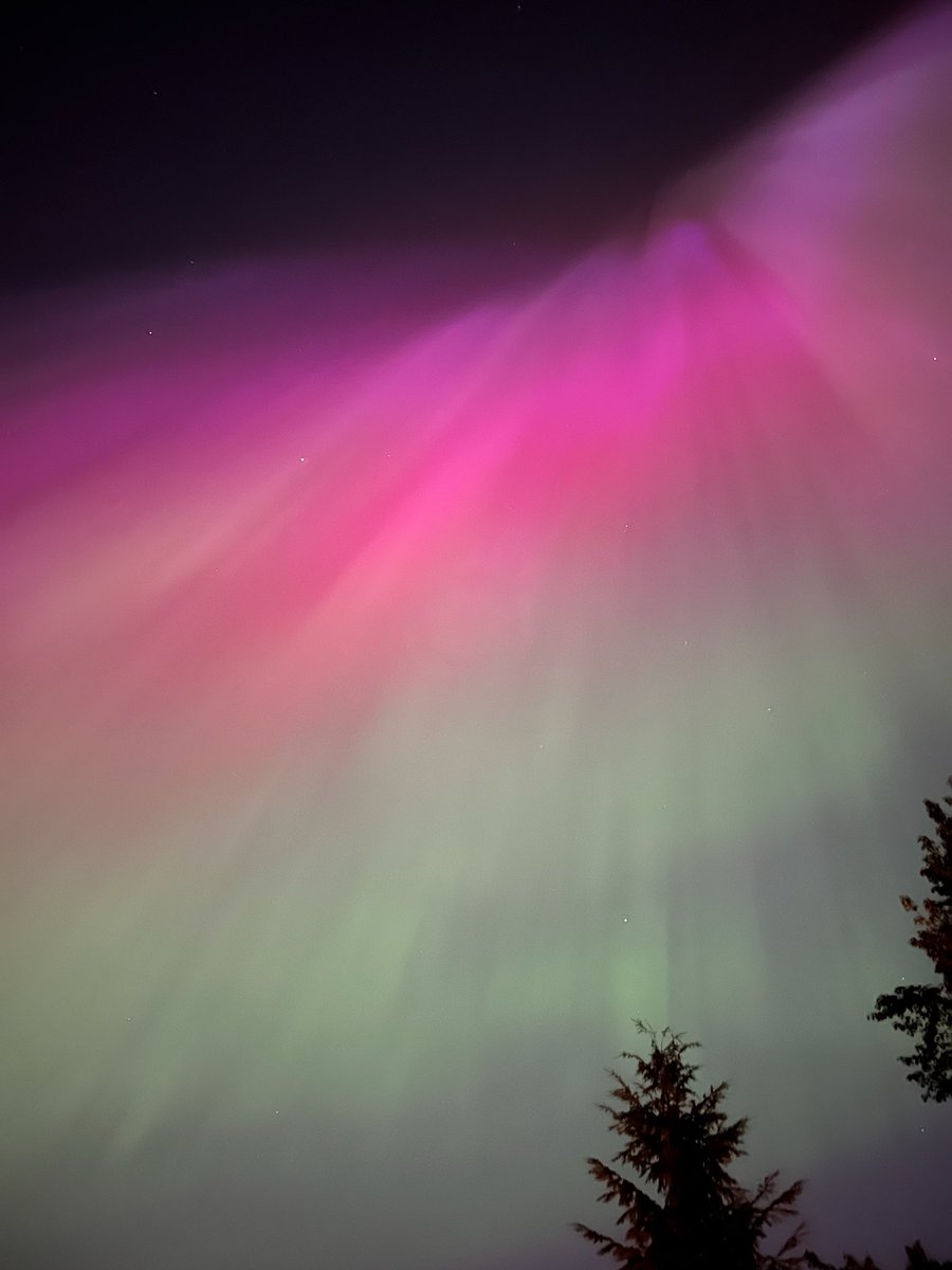 The northern lights from my backyard ✨🤩