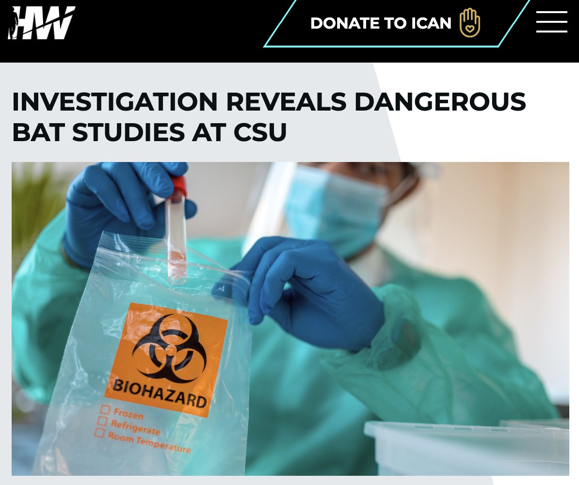 'More details regarding @ColoradoStateU dangerous virus experiments on bats have been uncovered. WCW revealed the details of 22 experiments. The experiments include Sars, CoV, Mers, Cedar, Nipah, and Sosuga viruses' 📰 INVESTIGATION REVEALS DANGEROUS BAT STUDIES AT CSU by