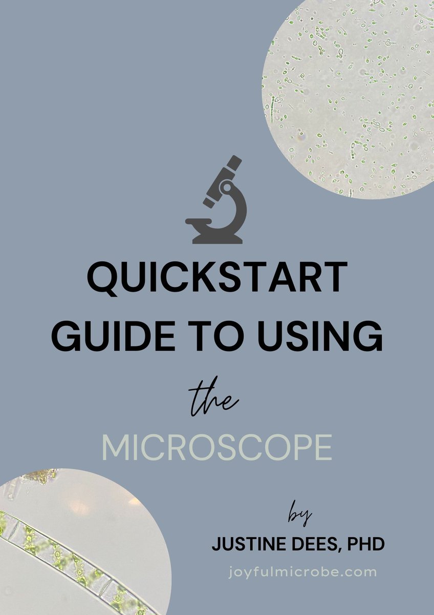 🎉 Exciting News! I’ve created something new! It’s called The Quick Start Guide to Using the Microscope! Perfect for beginners, this guide helps you master your microscope quickly and easily. 🔬🦠 #Microscopy
Get the guide here: joyfulmicrobe.com/microscope-gui…