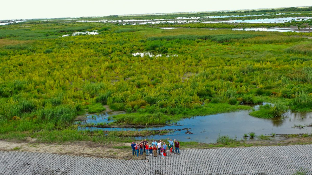 A once sinking mass of sediment in Bayou De Cade, Louisiana is now a brackish marsh, thanks to the hard work of @NOAAHabitat, and our partners! They restored 473 acres of marsh habitat, combating land loss, and supporting local fisheries: bit.ly/3UXNOm0 #WetlandsMonth