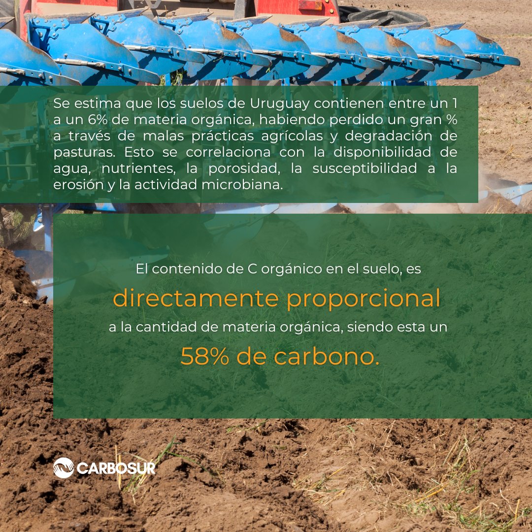 La incorporación del carbono orgánico en el suelo es, no solo clave para mejorar las propiedades fisicoquímicas del mismo, sino que también es una importante actividad de mitigación frente al cambio climático 🌱🪱🪲

Ver última foto en comentarios