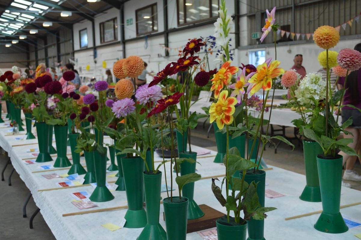 The Craft, Cookery & Horticulture Schedule is ready for the County Show in August - an opportunity to showcase your creativity 🌼 🖌️ 👩‍🍳 📷 Read the full schedule on our website: pembsshow.org/at-the-show/sh… and then click here to enter: showingscene.com/events/pembrok…