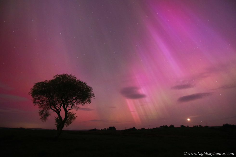 Beaghmore fairy tree with G5 aurora beams & setting moon. Images/print available, I will most more tomorrow night for those interested. nightskyhunter.com