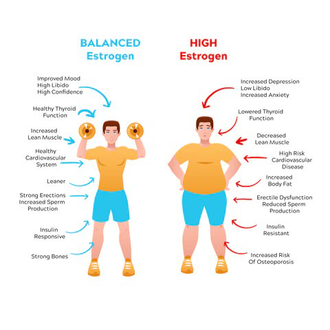 #menshealth 
Men, you do not want your Testosterone to be converting to Estrogen. This will increase abdominal weight gain, lethargy, #fatigue, brain fog, insomnia, mood swings, irritability, low #libido, depression and #anxiety 

Aromatase is the enzyme that converts your…
