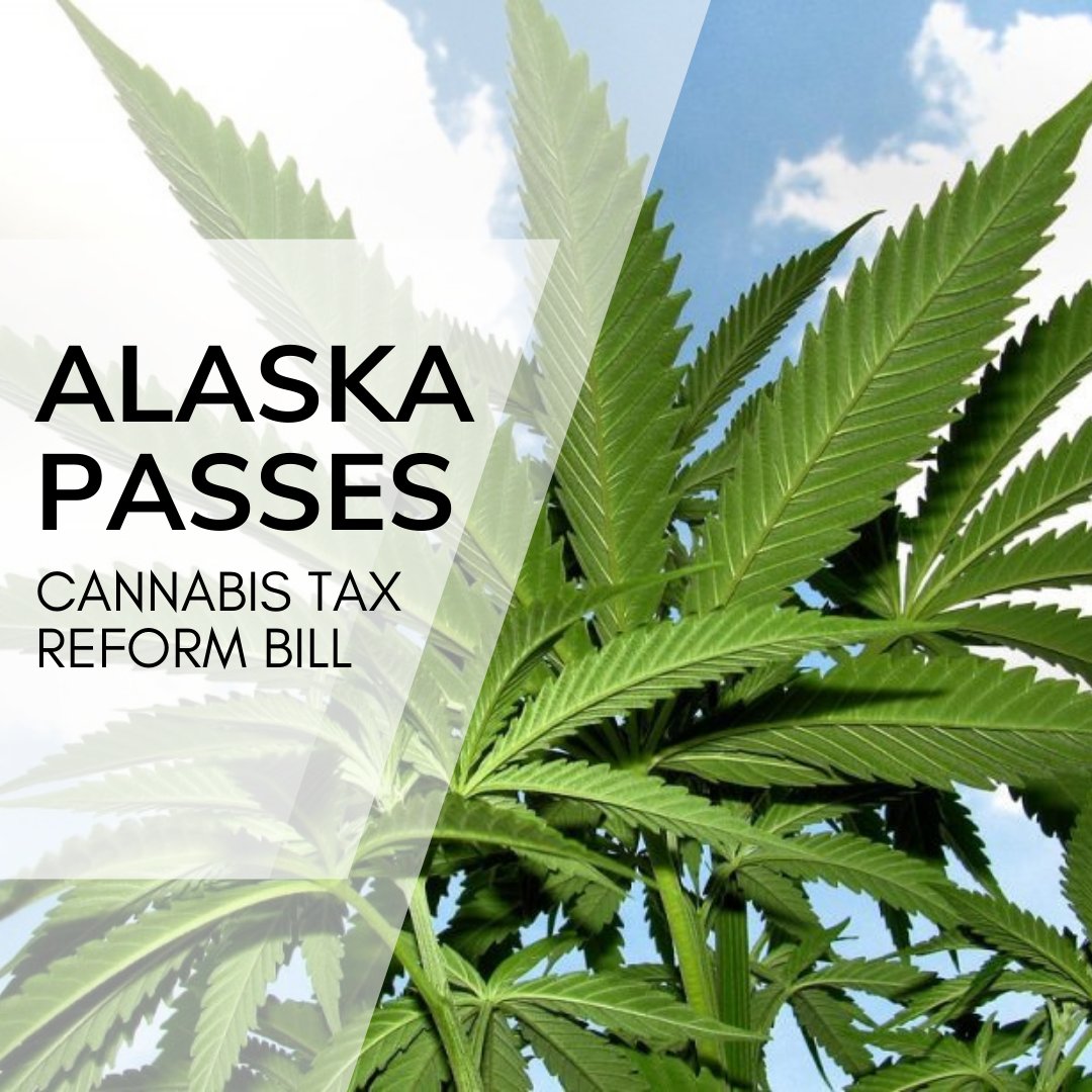 Alaska House passes marijuana tax reform bill, paving the way for a more equitable cannabis market. Change is on the horizon! 💼 #CannabisReform #Alaska highat9news.com