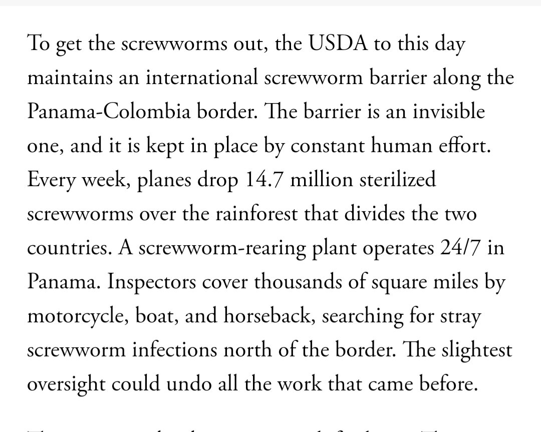 There's an insect border between Colombia and Panama to keep the screw-worm fly out of North America, which involves dropping 14.7 million sterilised screw-worms over the rainforest *every week*