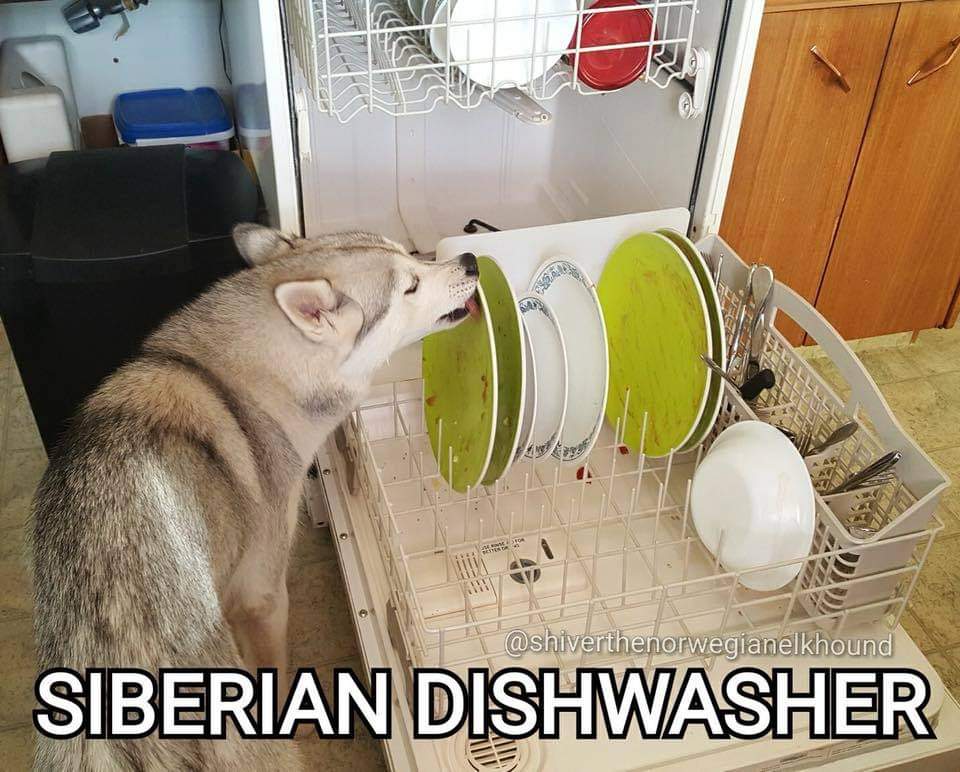 Siberian Dishwasher 🤣🤣🤣