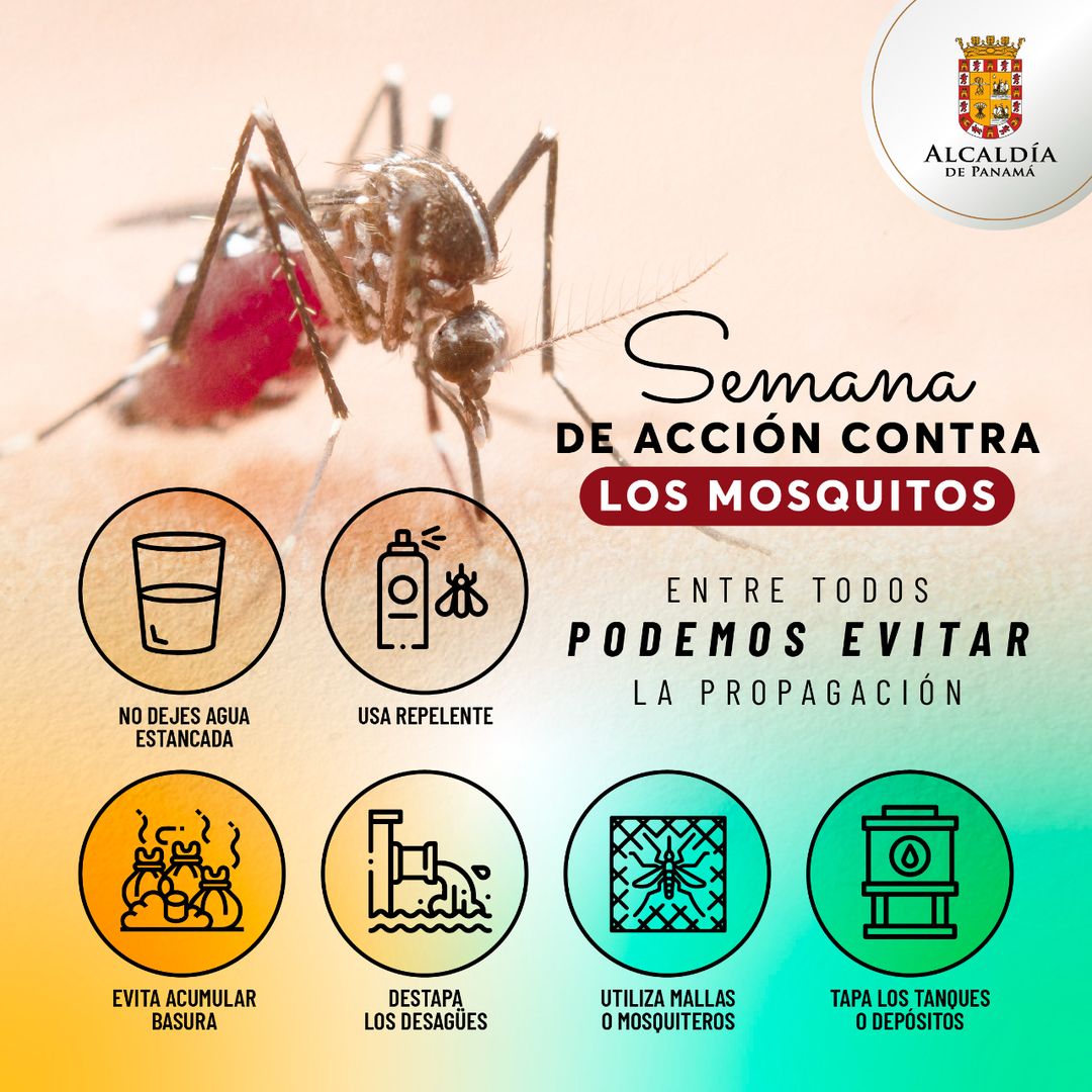 ¡Únete a la Semana de Acción contra los Mosquitos! Es vital para detener su propagación y prevenir enfermedades como el dengue y el zika. Recuerda eliminar agua estancada, usar repelente y mosquiteros, y mantener limpios patios y jardines. Juntos, ¡podemos protegernos!