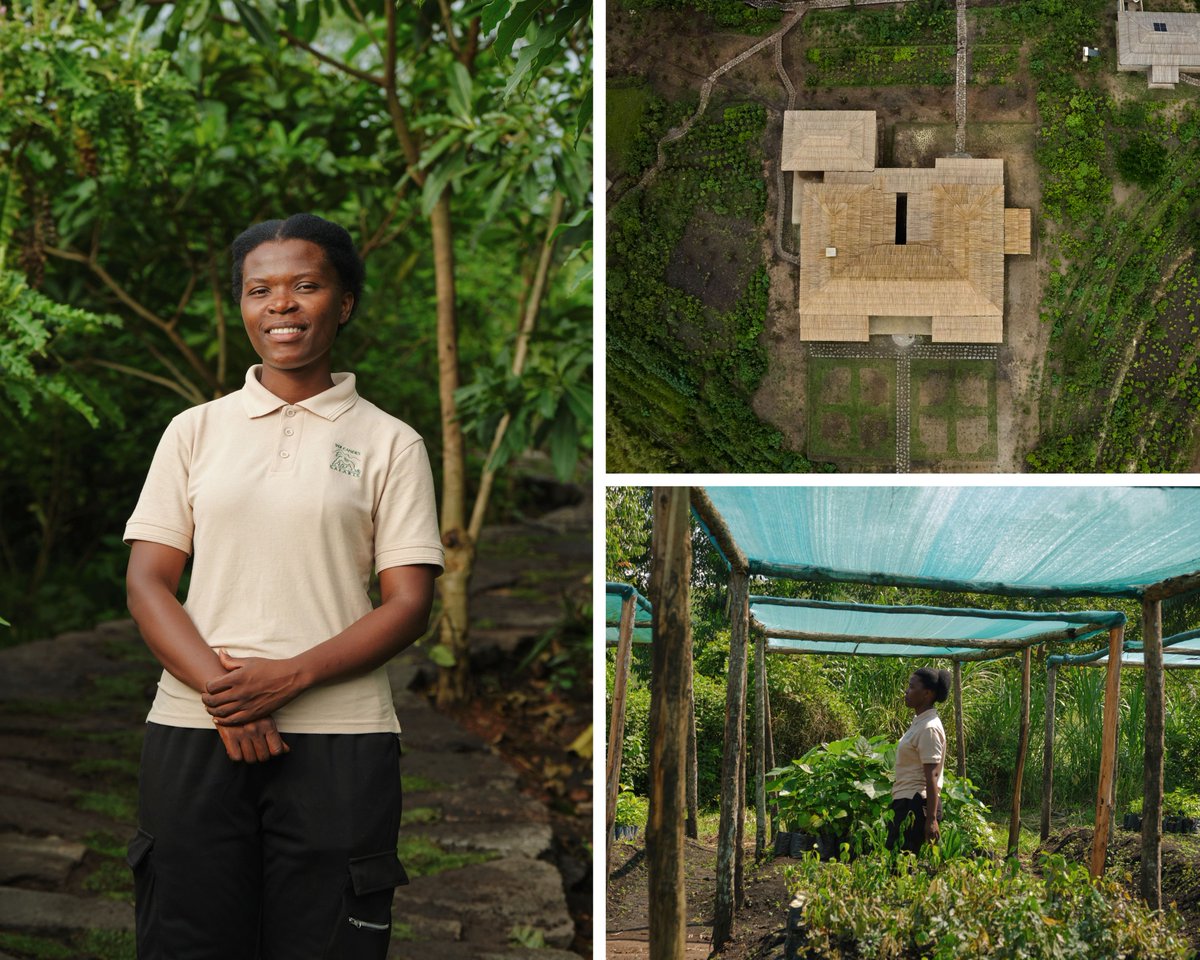 Looking for women to profile? Meet 28-year-old botanist Celine Ishimwe. She searched for seedlings across Uganda to revitalize over 23 acres of land with indigenous plants for the new Kibale Lodge opening in July. She's planted 200K+ seeds. DM for more. #journorequest #prrequest