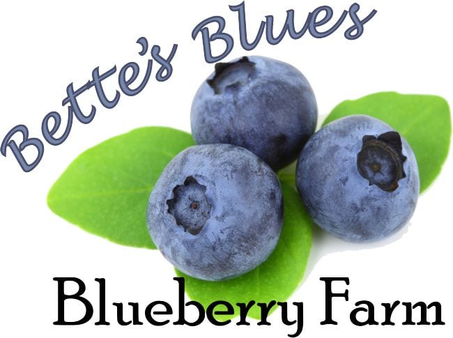 Bette’s Blues Blueberry Farm Announces New Hours: Open Tuesday, Thursday and Saturday from 8 am to 2 pm.
Pick your own blueberries and enjoy their farm-fresh flavor!   Our blueberries are pesticide-free!  #berrypicking #bettes #blueberryfarm
naturecoaster.com/business-direc…