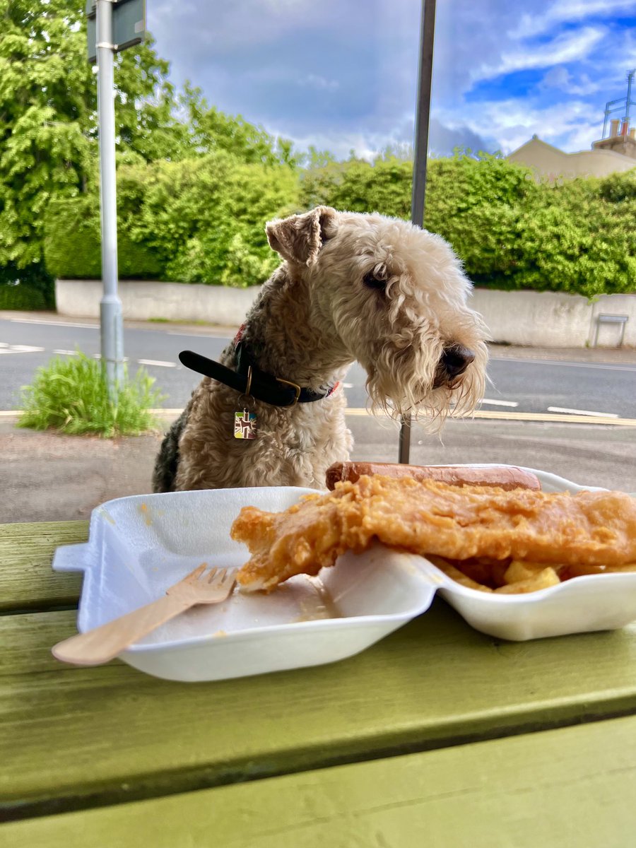 I do love a nice piece of cod with my sausage ❤️