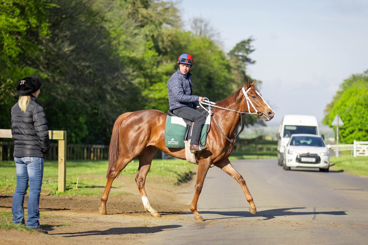 We are eager to get going with our Opulence Ladies’ filly and have aptly named her “Impatiently” 🐎 She has her first entry in the 5f Maiden Fillies’ Stakes at Yarmouth on the 22nd of May for the @JaneChappleHyam team! Head to our website to find out about available shares!