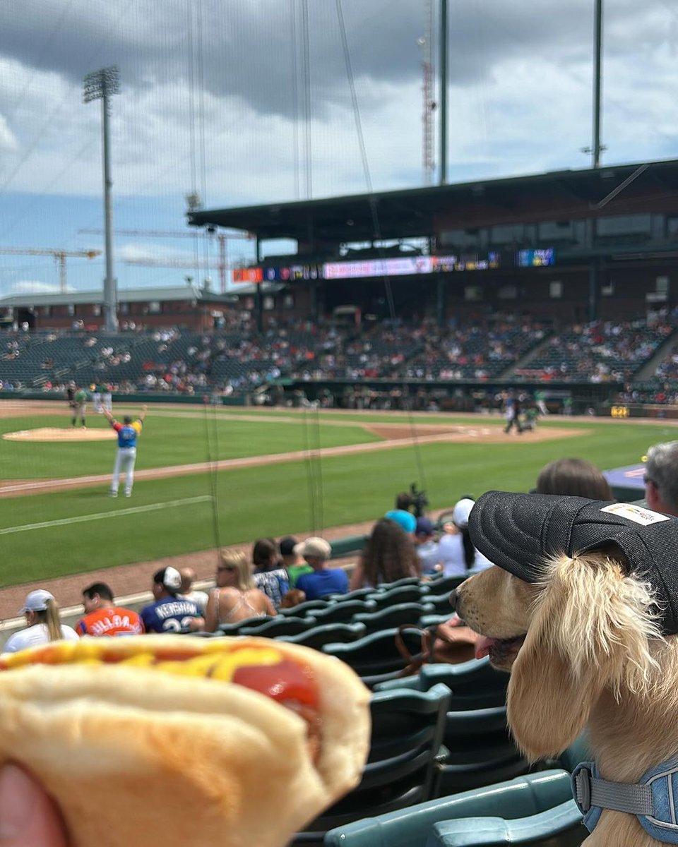 Grab a hotdog and your favorite coworkers to make the most of your midday break! Don't miss the @jaxshrimps lunchtime home game tomorrow ⚾🌭 ⭐ Gates at 11 a.m | Game at 12:05 p.m. Find tickets: dtjax.com.events 🦐