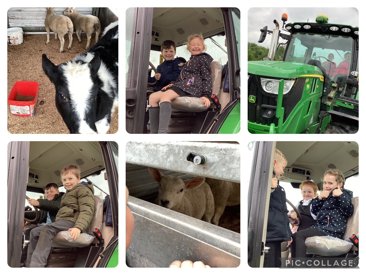 GarnockPrimary's tweet photo. World of Work Day 2 treated our younger pupils to a visit from The King family with their John Deere tractor and farm animals. Thank you for answering all of our questions! ๐๐๐ #wowweek #futurefarmers @GarnockCampus https://t.co/mBFRf2vl7W