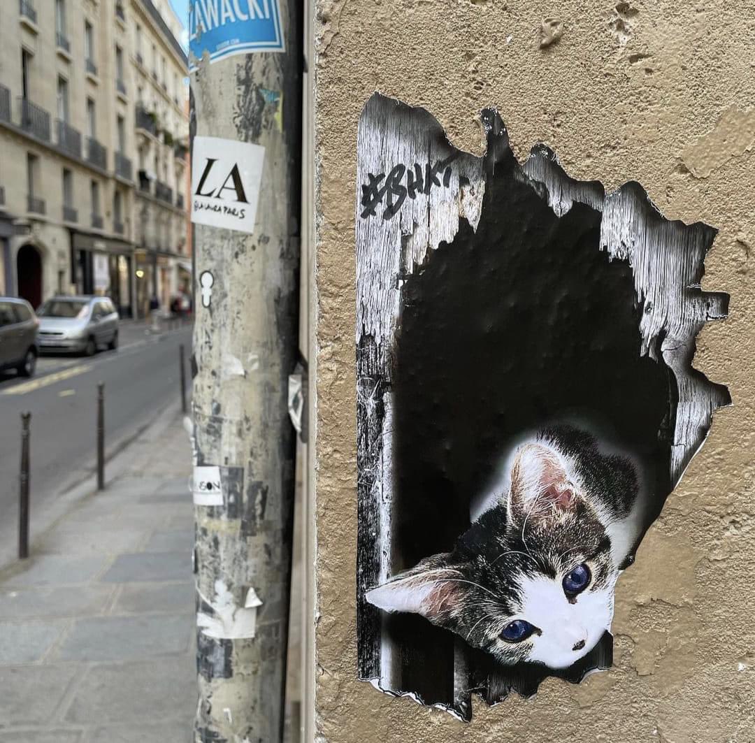 🐈 #StreetArt by @billboardshacker in Paris