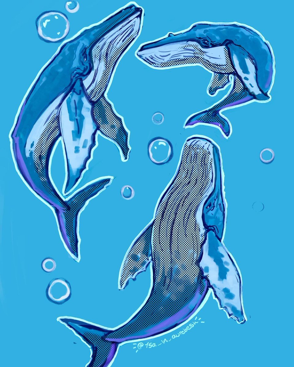 Whale of some doodles🤍🤍🐋🤍🤍 commissions are open! #digitalartwork #whale #commiscommissions