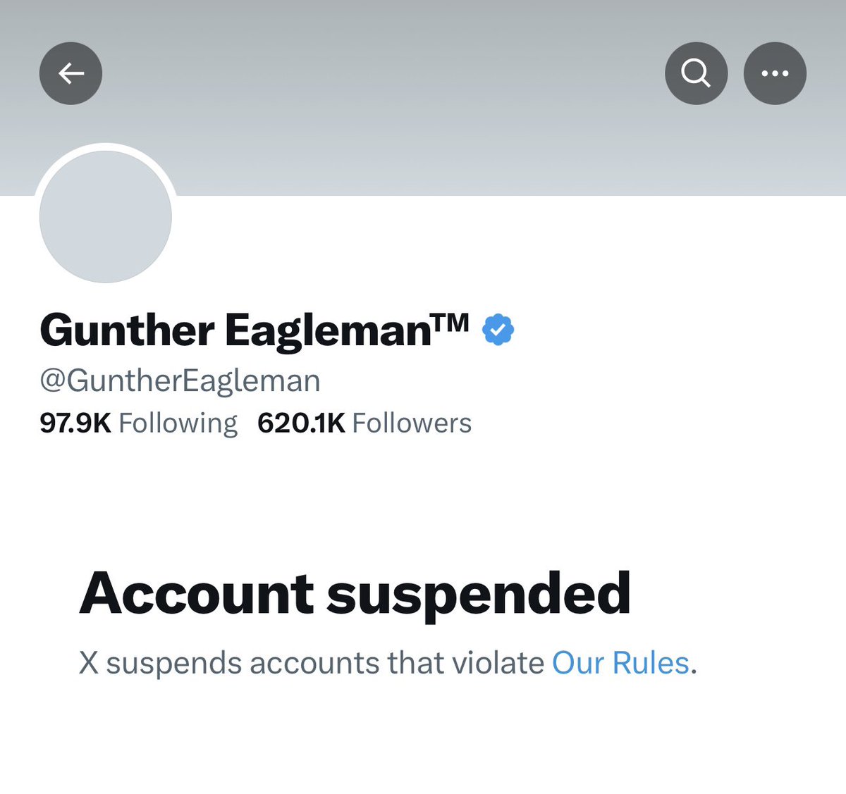 Twitter just suspended @GuntherEagleman. Assuming this was a mistake and probably the target of mass reporting... @elonmusk @lindayaX