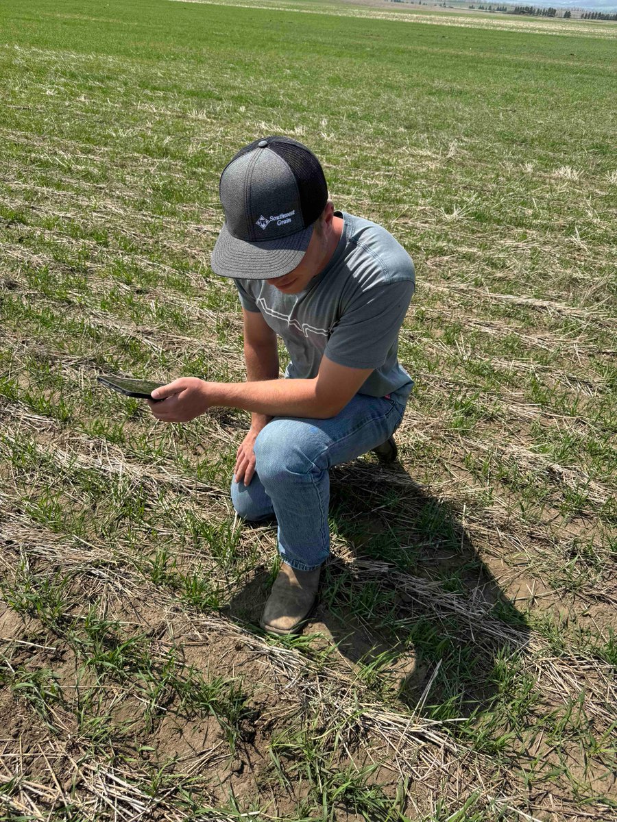 Loden’s first week on the job, scouting with <a href="/okkefromuskogee/">Kyle Okke</a>! 

He is a DSU ag student learning FarmQA, crop staging, and weed ID. 🌱