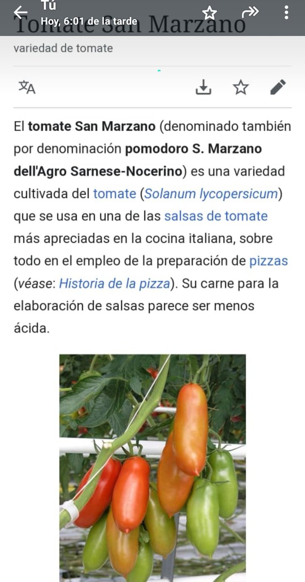 Se que don Andres Caleca no está como para cocinarle a la tipa pero me comentó en algún momento que si sacaba tomate San Marzano que le hiciera saber. Eccolo Li. 🫂