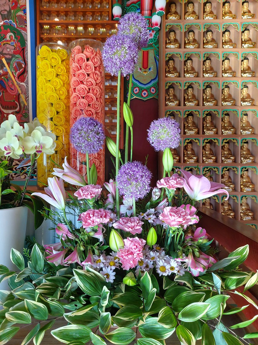 우리절 설법전 꽃 공양
오늘은 신도님들이 많이 오셔서 큰법당인 설법전에서 석가탄신일 법회를 해요
그래서 설법전에 꽃공양했답니다^^
우측 알륨은 수광전 꽃 공양
모두 행복한날보내세요^^