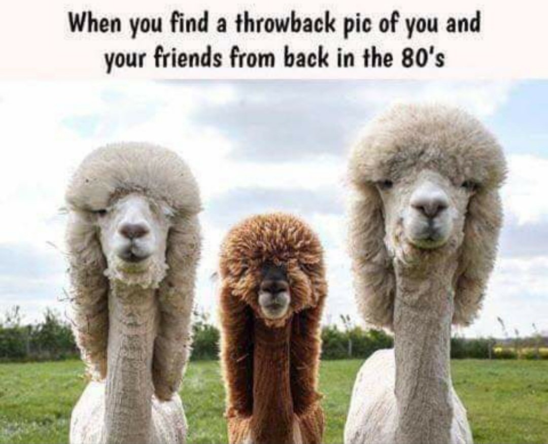 tryn2stamello's tweet image. #fun #throwbackfun
#laughs