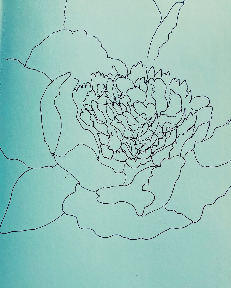 #peonies #peony #peonysketch #peonylinedrawing #abstract #abstractart #sketchbook #inprogress #art #drawing #floral #plants #flowers #plantlover #peoniesofinstagram #pinkpeonies #pink @TheCoffeeHag