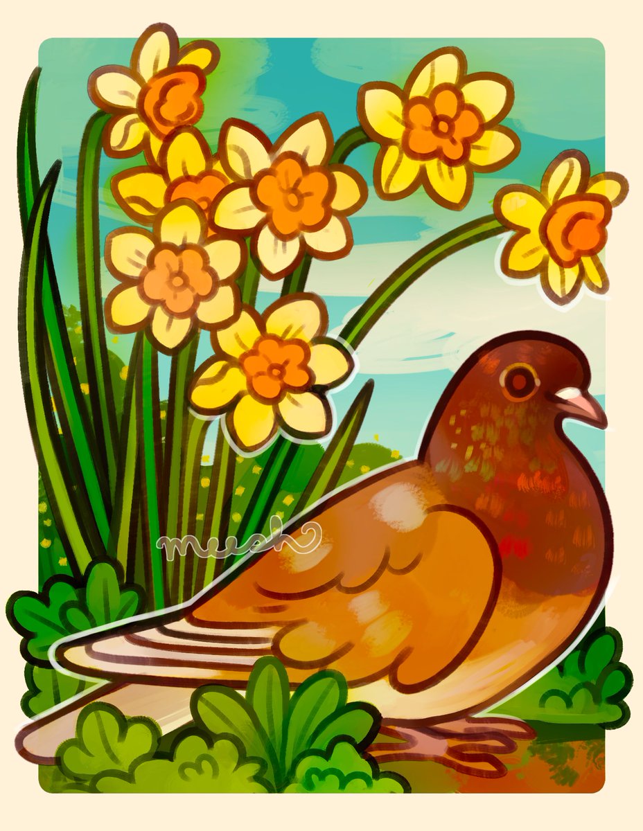 pigeon + mini daffodils ✨🌱