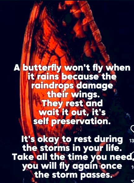 #MentalHealthAwarenessWeek 🦋❤️