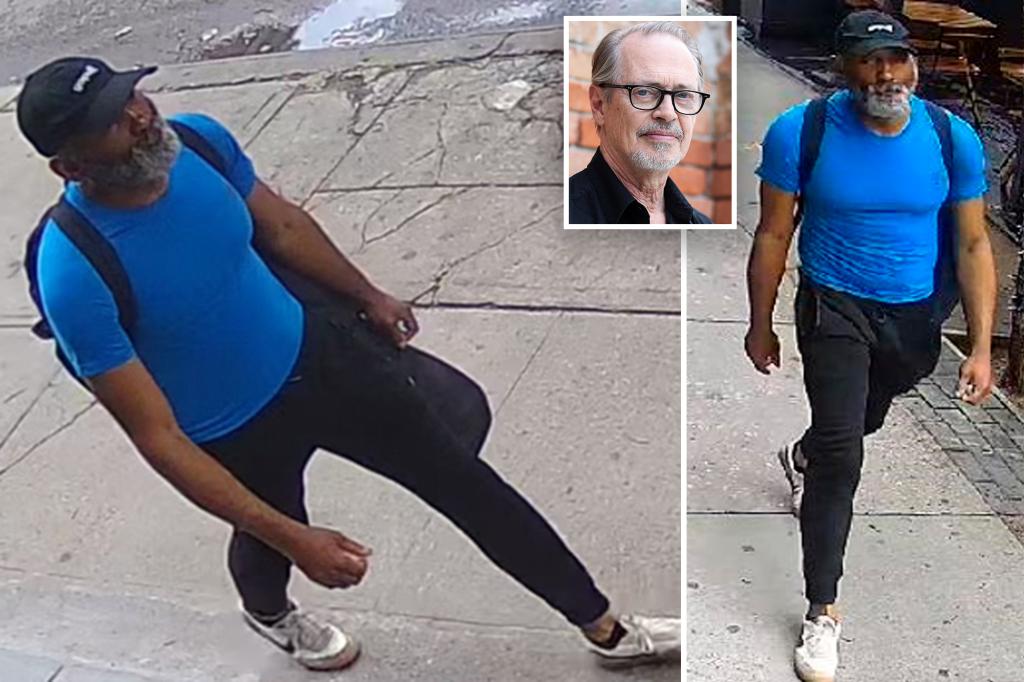 NYPD looking for ‘person of interest’ in random attack on actor Steve Buscemi trib.al/Rv91mXM