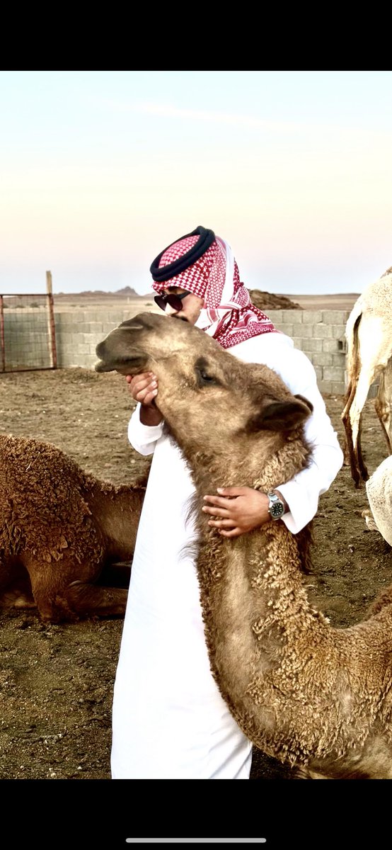 بدر بن غالي بن طواله tweet media