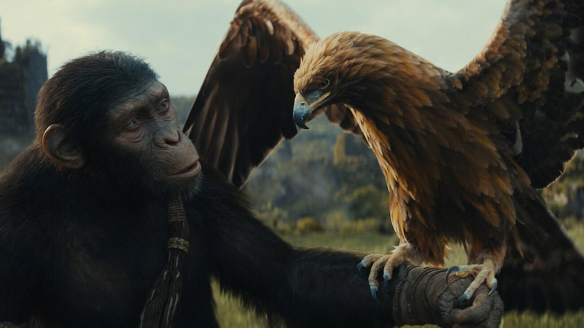 How and Where to Watch the Planet of the Apes Movies in Order Before Kingdom of the Planet of the Apes dlvr.it/T6tlqD