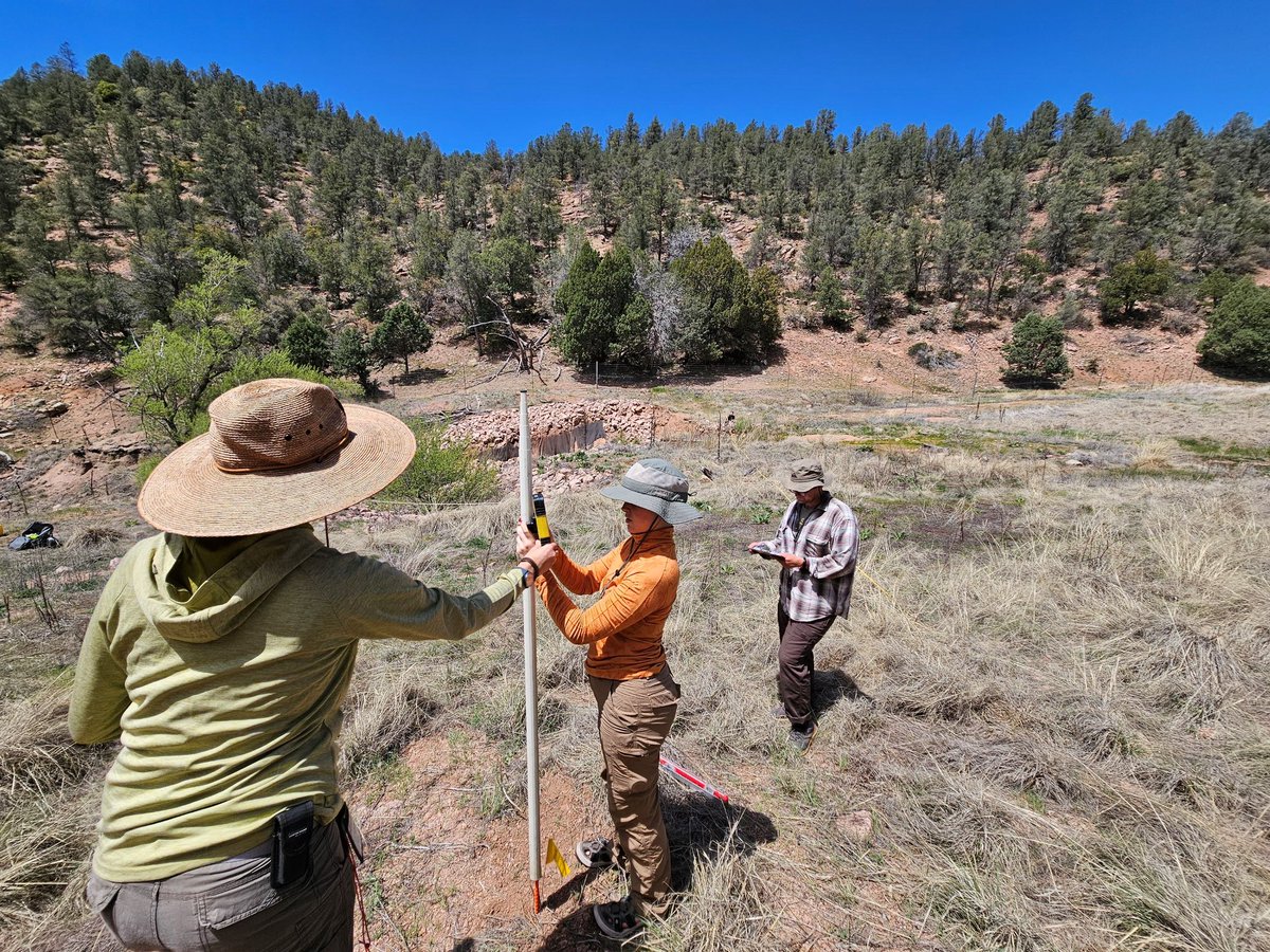 We wanted to spotlight the watershed improvement work our #TontoNF hydrology team is working on at the Little Green Valley Wet meadow, a private research botanical area!