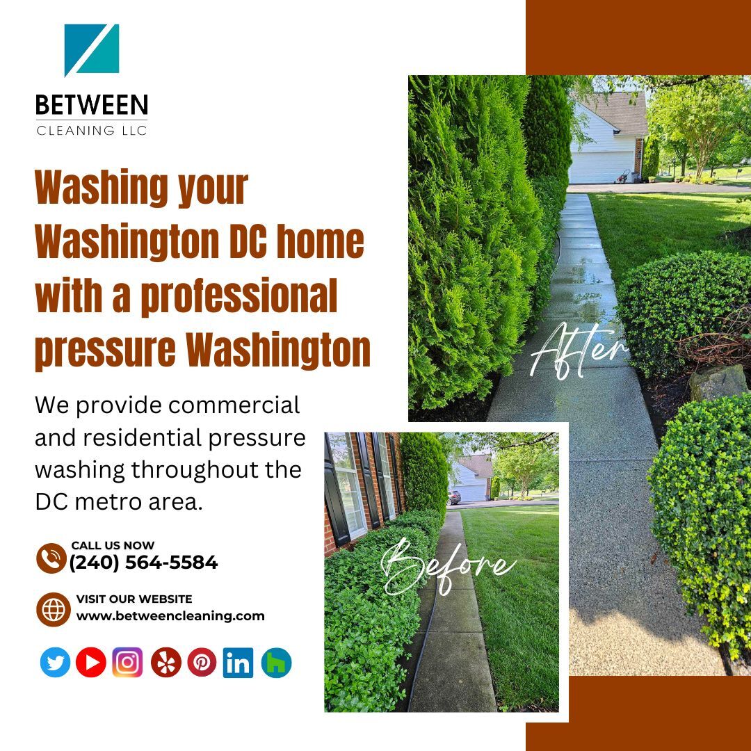 Transforming DC streets one clean sidewalk at a time! 💦🚶‍♂️ Our team is on a mission to keep Washington DC pristine. #CleanStreetsDC #CityMaintenance #CommunityPride #SidewalkCleanup #UrbanRenewal bit.ly/3TOk5LT