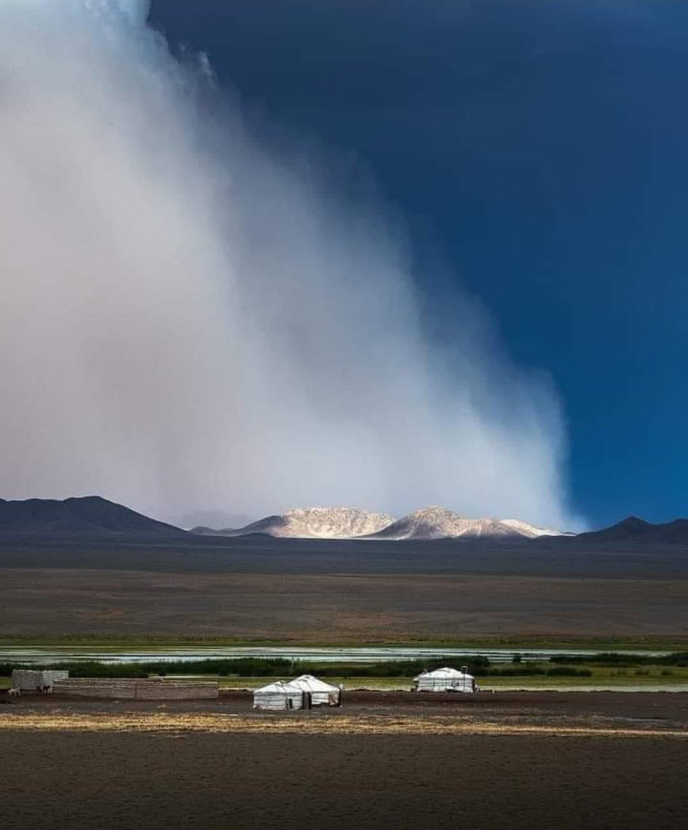 Швед гаралтай аялагч, худалдаачин, Их Британы тагнуул, "Монгол гүн" хэмээх Ларсон монгол орноор аялсан тухай  номондоо бичихдээ:

"Би нэг өдөр монголын тал нутгаар морь унан давхиж явахдаа нэгэн аргал түүж яваа сэмэрхий муу хувцастай, ядарсан нэг муу эмгэнтэй таарч дотроо түүнийг